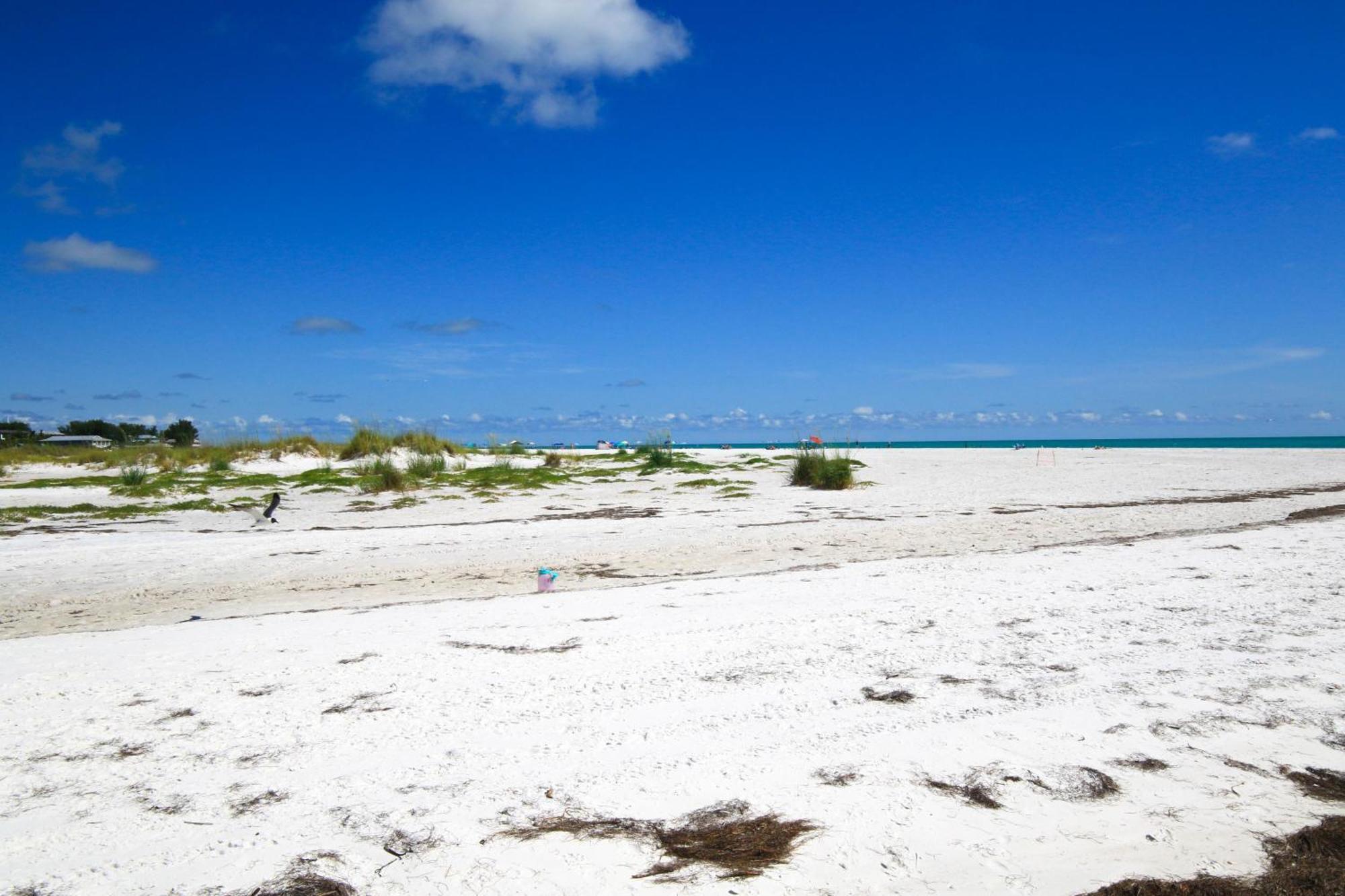 Anna Maria Island Runaway Tropical Dream-One Minute Walk To The Beach-Heated Pool Bradenton Beach Eksteriør billede